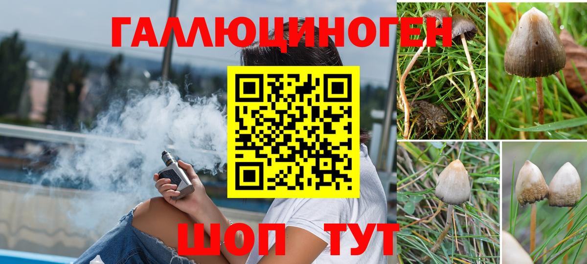 Псилоцибиновые грибы Cubensis Москва