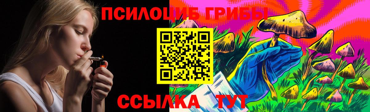 Галлюциногенные грибы Psilocybine cubensis  Псилоцибиновые грибы прущие грибы  Москва  наркошоп  Вход с VPN 